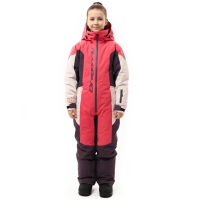 Dragonfly Зимний утепленный комбинезон Gravity Teenager Pink - Plum - Light Grey 2025 в Чебоксарах